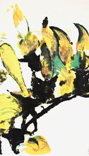 Load image into Gallery viewer, Macropidia fuliginosa: Limited Edition Print