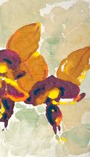 Load image into Gallery viewer, Diuris amplissima: Limited Edition Print